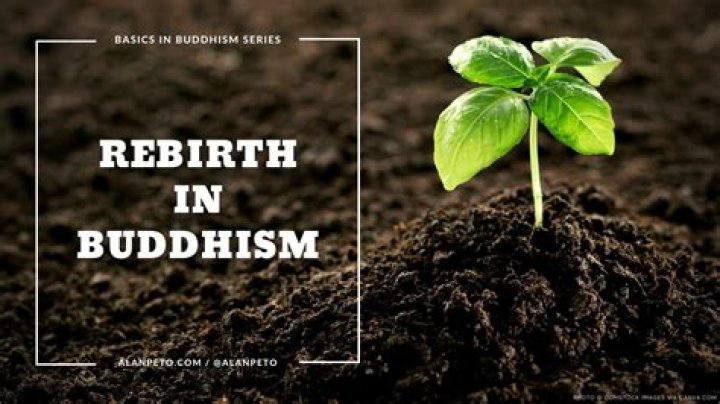 Does Buddhism talk about rebirth?
