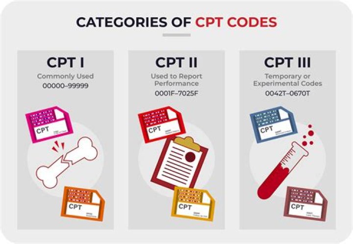 How do I find CPT codes?