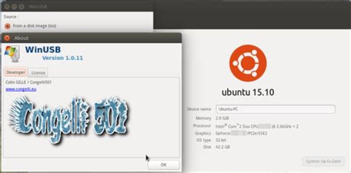 How do I run WinUSB on Ubuntu?