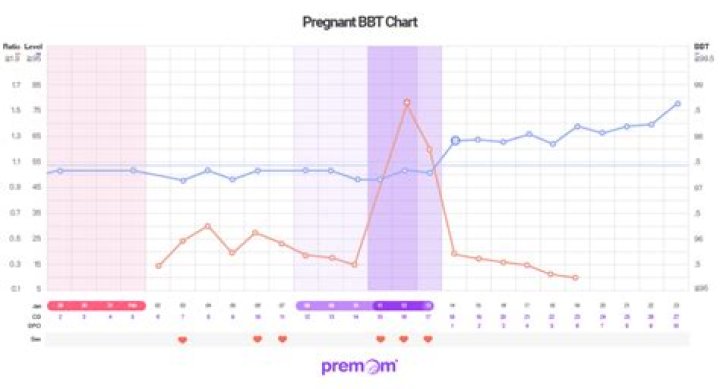 How long does BBT stay elevated if pregnant?