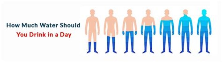 How many quarts of water a day should you drink?