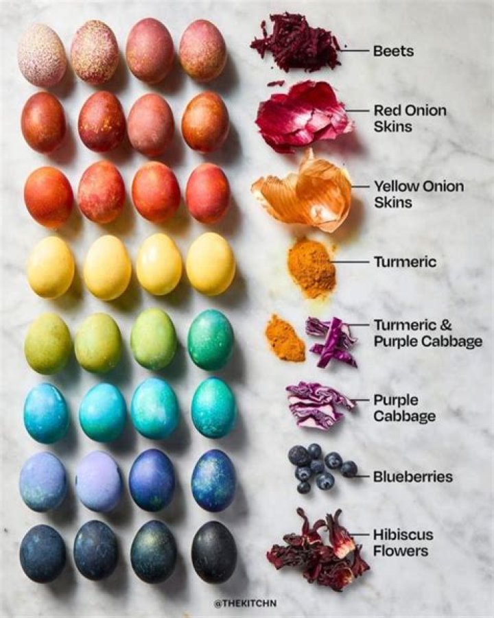 What color would your egg turn out if you dyed it using red cabbage?