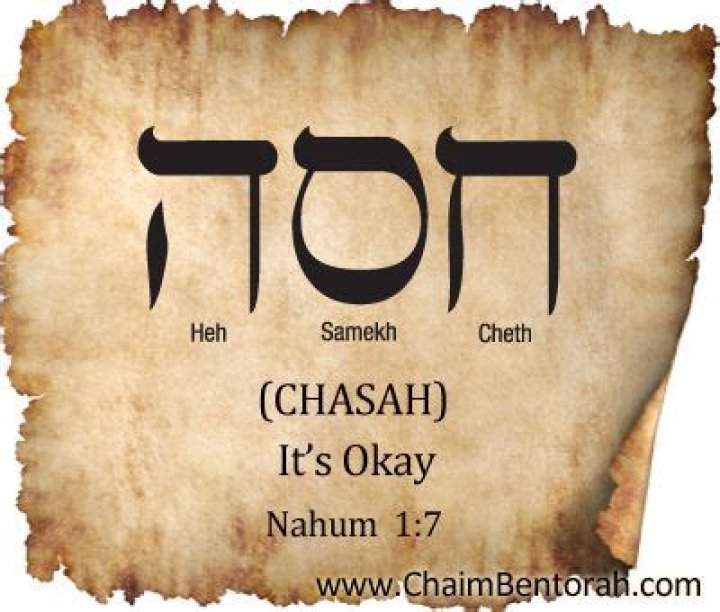 What does Chaim mean in Hebrew?