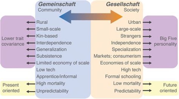 What is an example of Gesellschaft society?