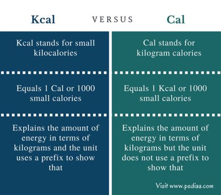 What is difference between kcal and Cal?