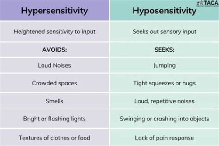 What is meant by hyposensitivity in autism?
