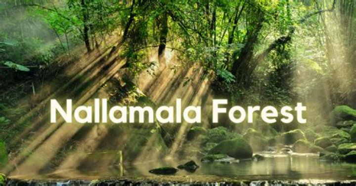 What is nallamala forest famous for?