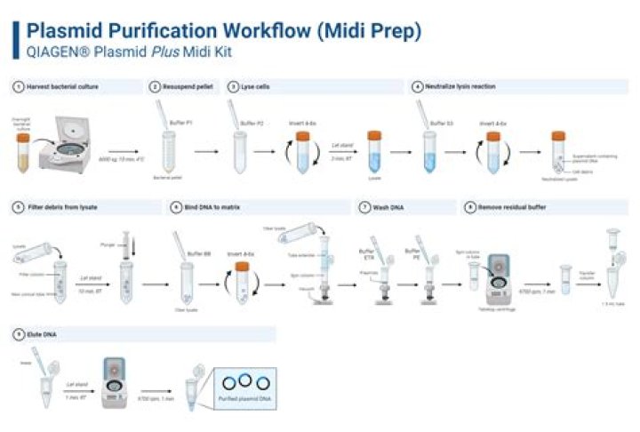 What is the purpose of Midi prep?