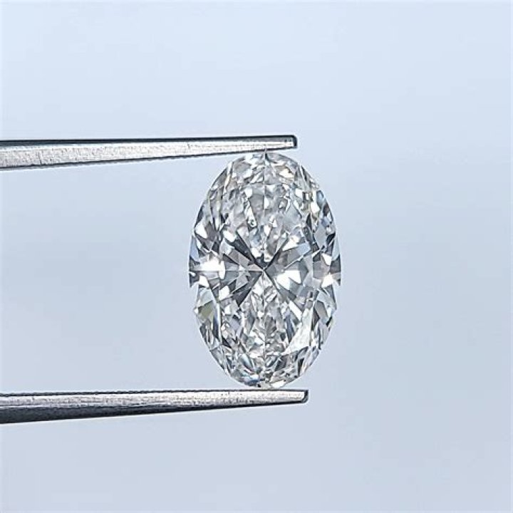 Who owns Ekati diamond?